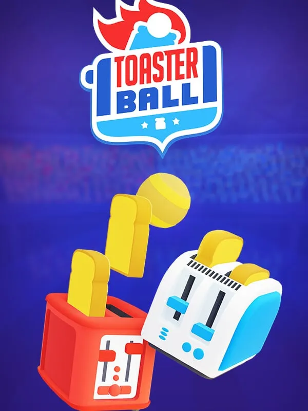 Toasterball cover